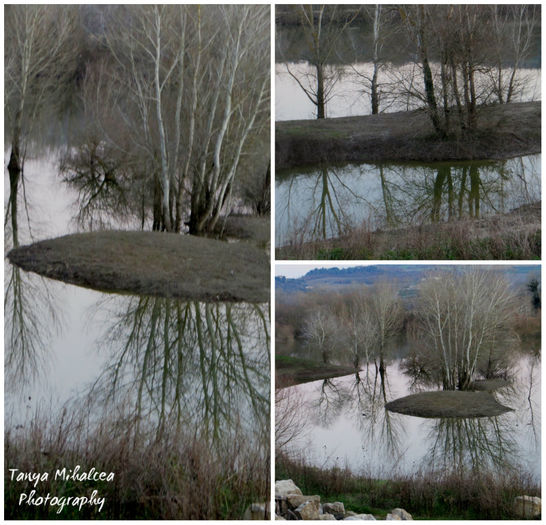 collage44 - TODI_Collage