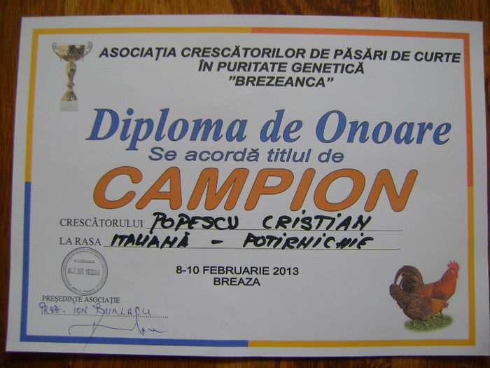 DSC02030 - breaza 2013