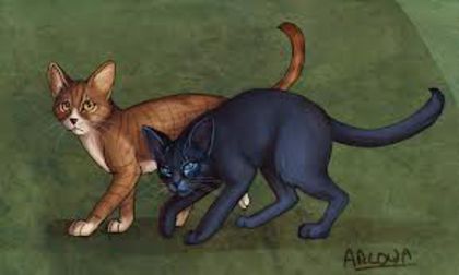 imagesCA3CLB4X - Crowfeather