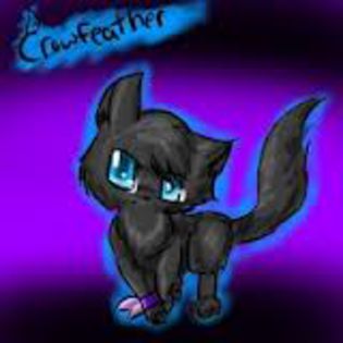 Crowfeather