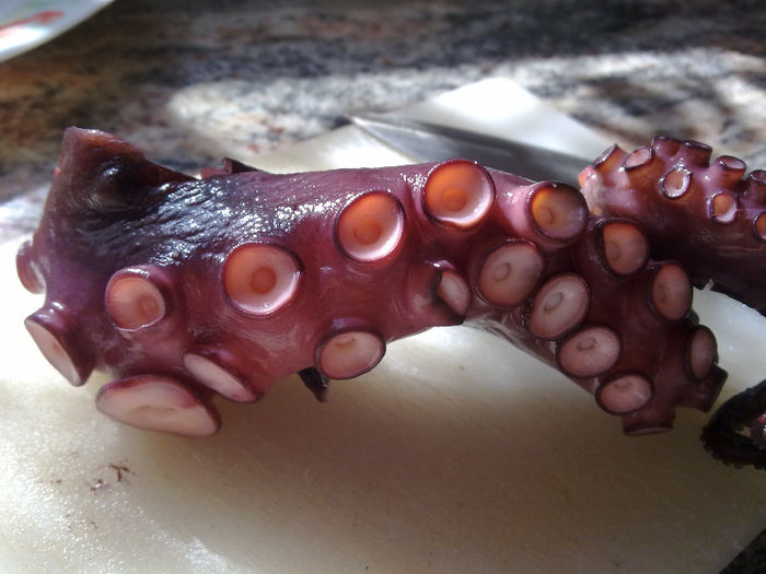 un piciorus