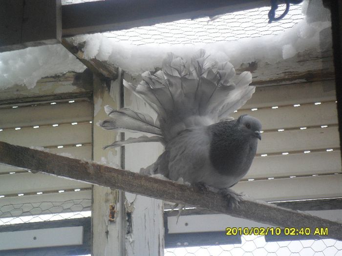 SAM_1087 - voltati indieni