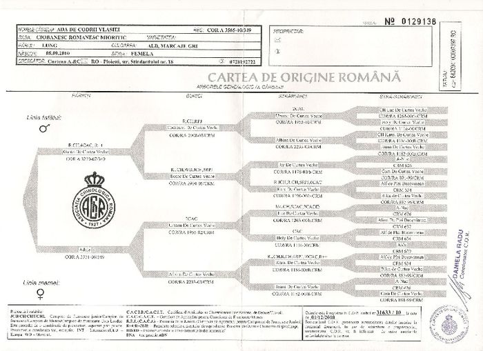 pedigree ada de codrii vlasiei - Consangvinizari gresite la mioritic