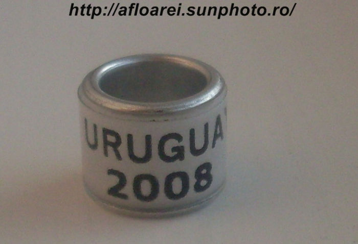 uruguay 2008