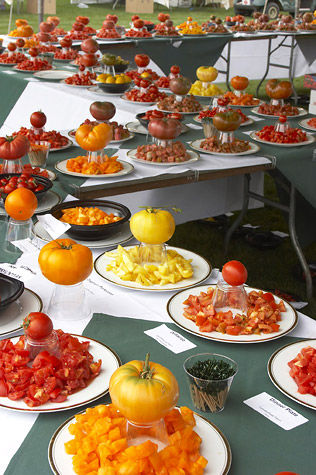 TomatoFest,degustare; TomatoFest este cel mai cunoscut festival al tomatelor;are loc in fiecare an in Carmelo,California.

