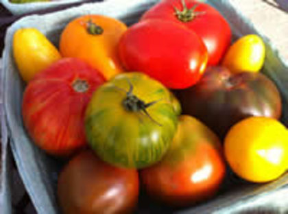 Aranjament Festival - Degustari de tomate FESTIVALURI