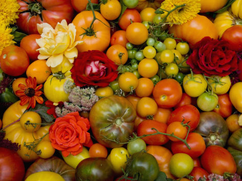 Aranjament Festival Tomate - Degustari de tomate FESTIVALURI