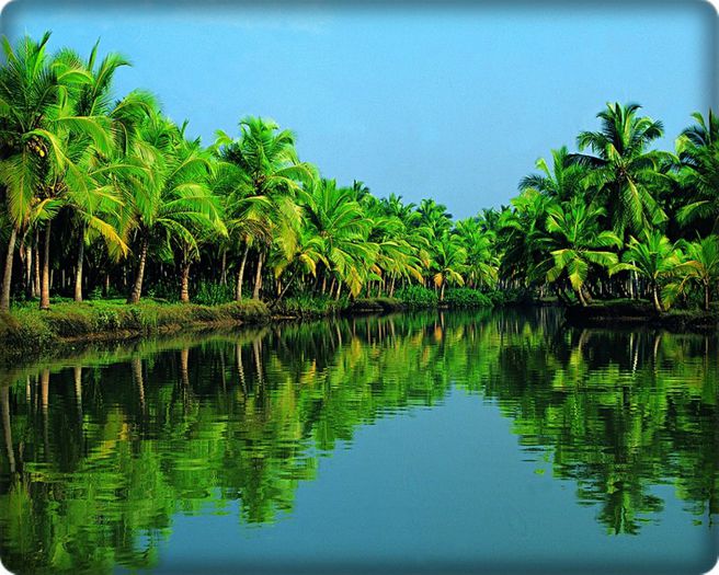 ● BackWaters in Kerala,South India ●; ormate din acumularea apelor marii de pe plaje, aceste garle reprezinta principala atractie turistica a Keralei, fiind, de fapt, o combinatie de lacuri si retele de canale. Cea mai buna modalitate de 
