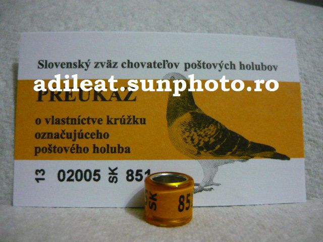 SLOVACIA-2013 - SLOVACIA-SK-ring collection