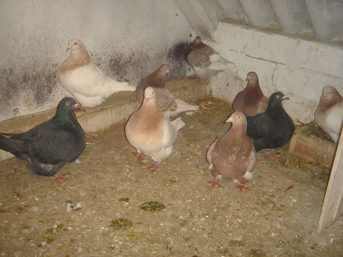 DSC00034