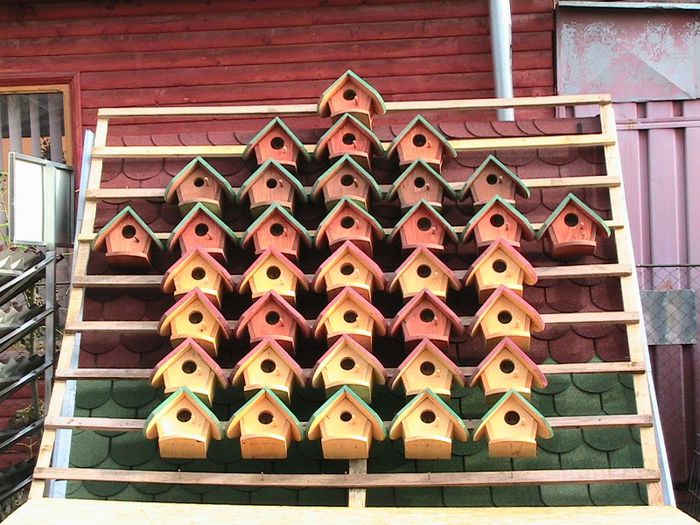 Expozitia de casute!