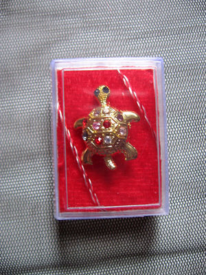 IMG_1047; 5Brose gargarite , testoase
