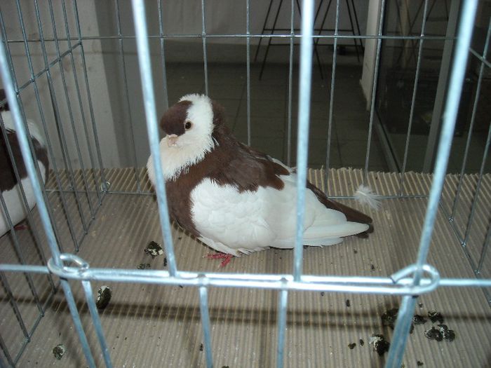 2013-02-01 11.51.33