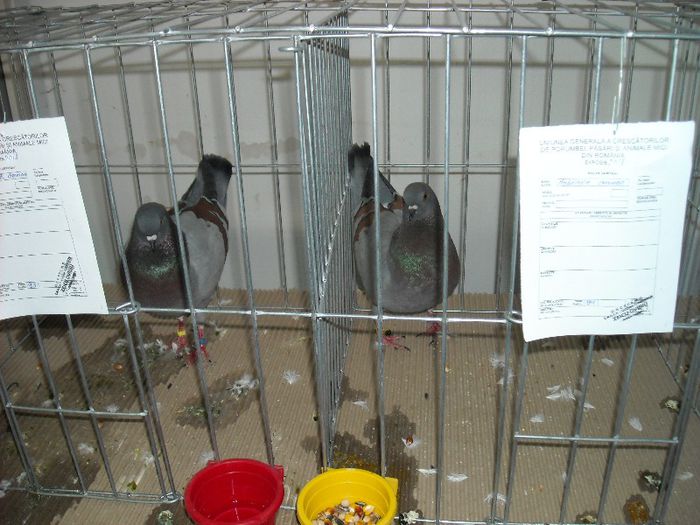 2013-02-01 11.52.38