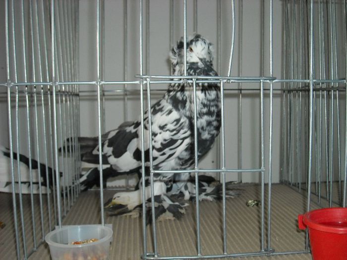 2013-02-01 11.57.07