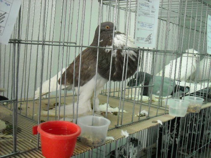 2013-02-01 11.57.24
