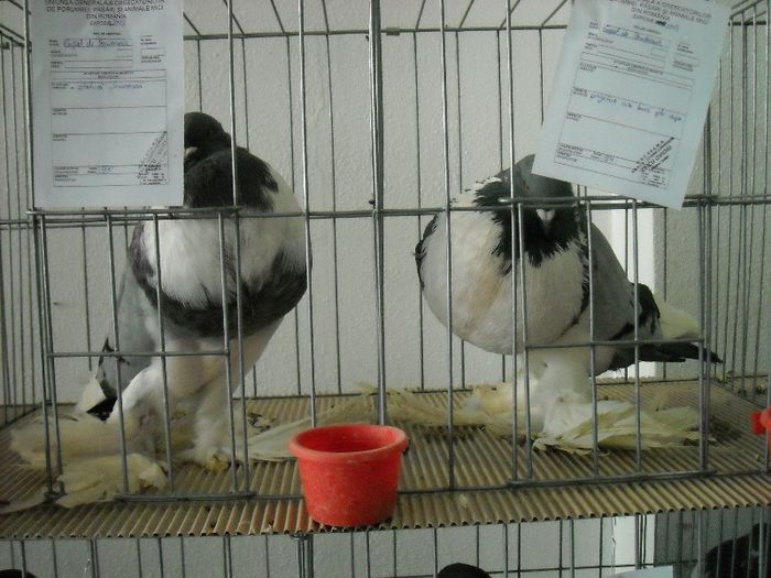 2013-02-01 11.57.34