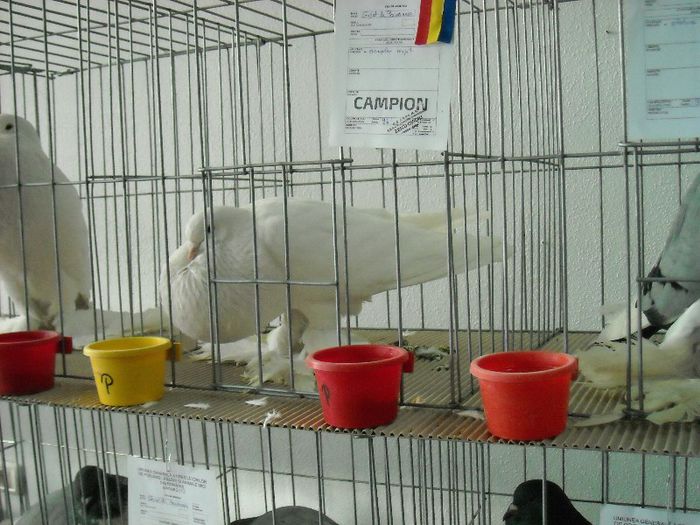 2013-02-01 11.57.38