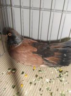 86053508_KTDDSPY