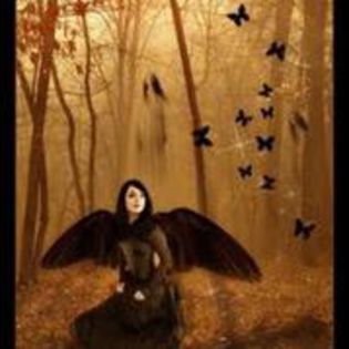 toate prietenele mele au iubit