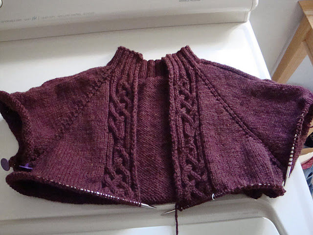 DSC02087 - Pentru copii