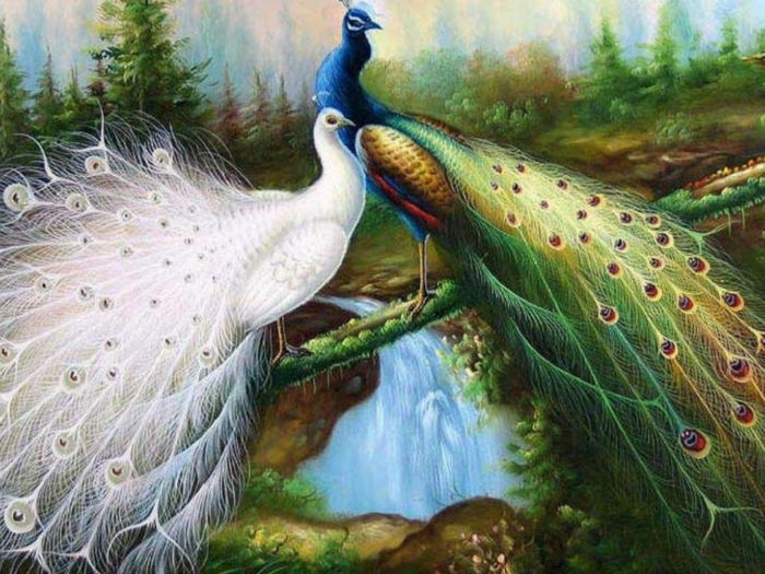  - PEacOCk