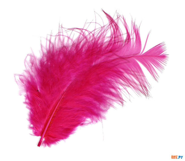  - FEatHErs
