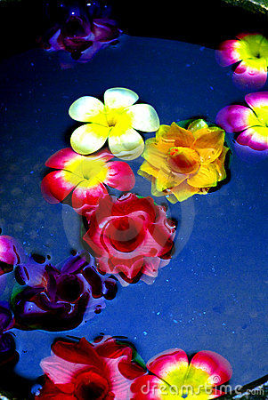  - FLowERs ON waTEr