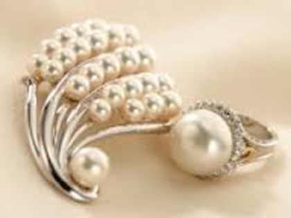  - PEarLS