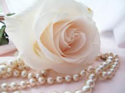  - PEarLS