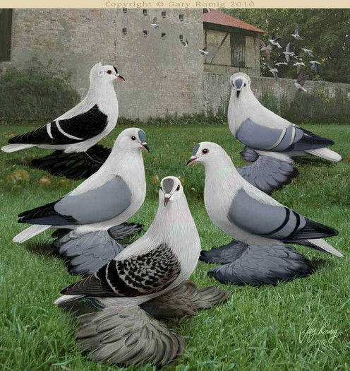 39121181_QZVRKIPFW