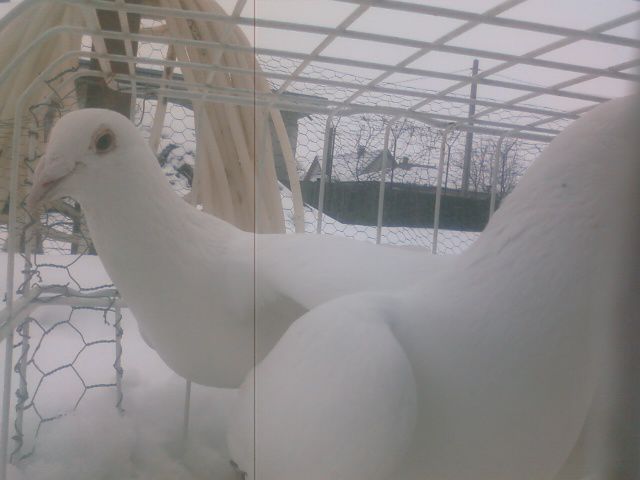 Photo0142