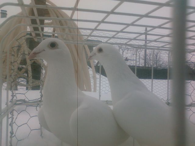 Photo0143