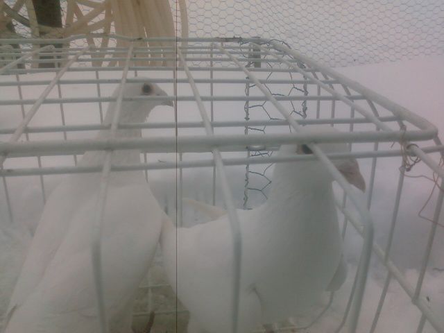 Photo0144