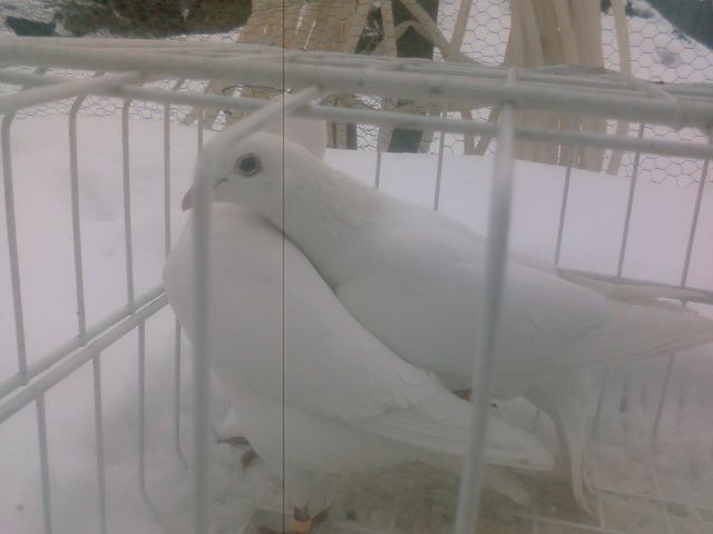 Photo0146