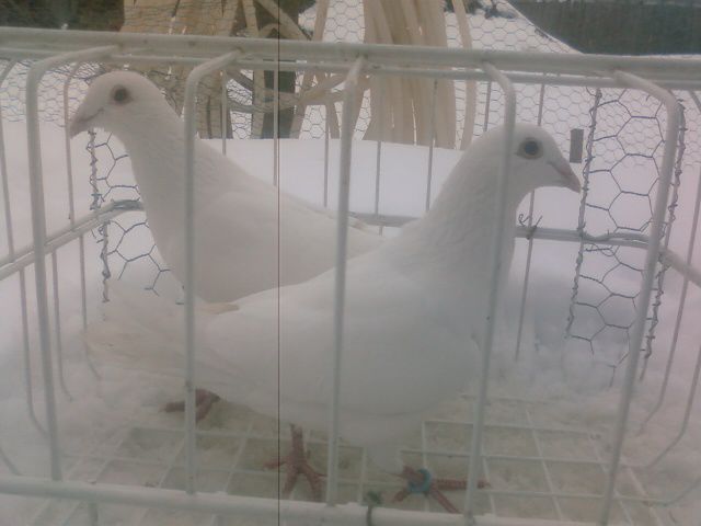Photo0147