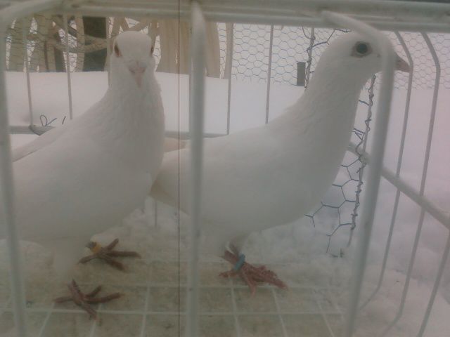 Photo0150