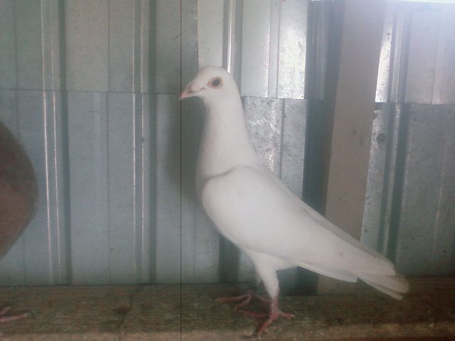 Photo0151