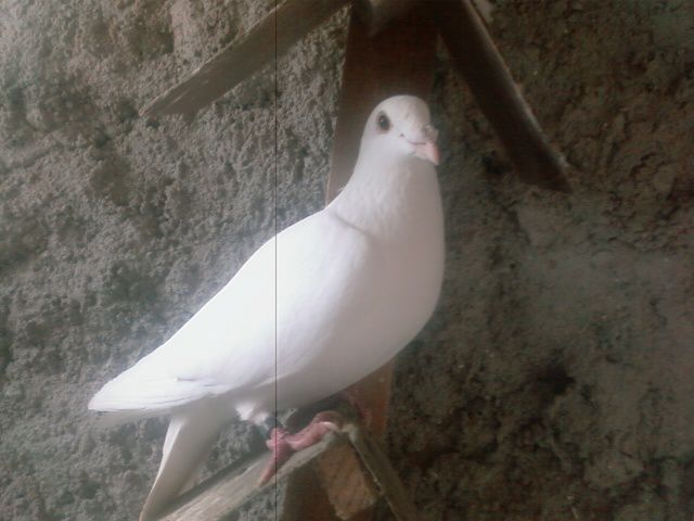 Photo0157