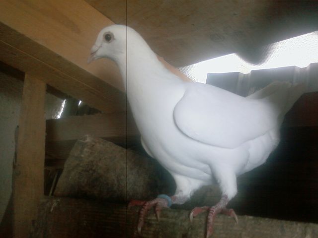 Photo0160