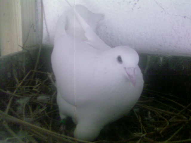 Photo0164