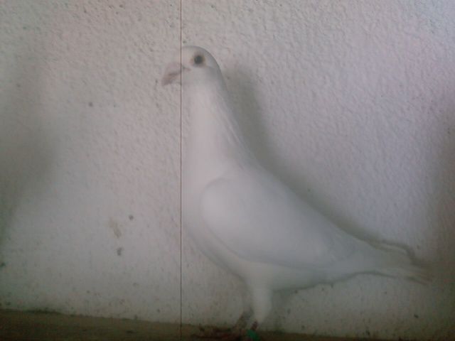 Photo0165
