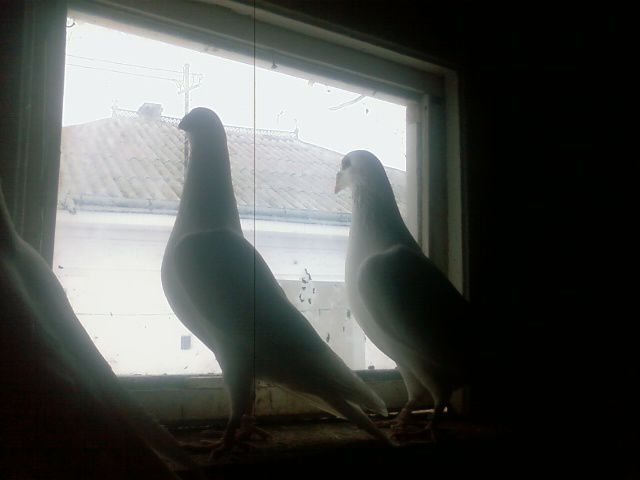 Photo0167