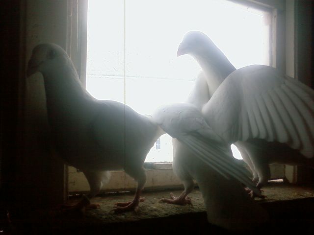 Photo0168