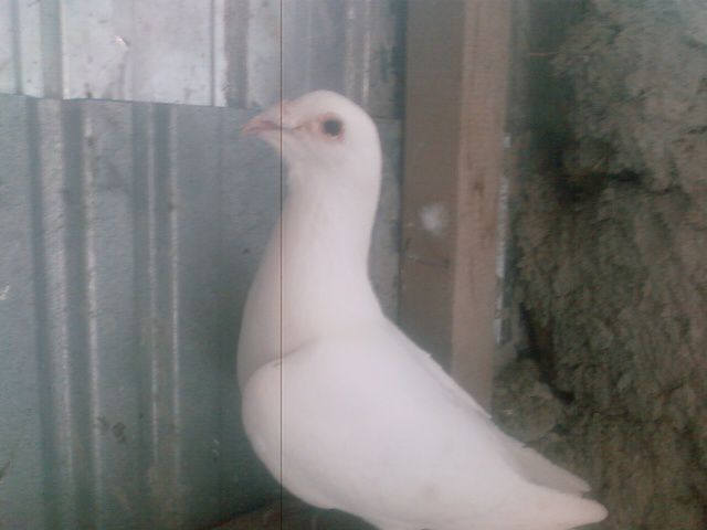 Photo0169