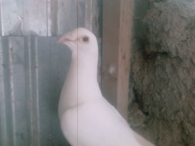 Photo0170
