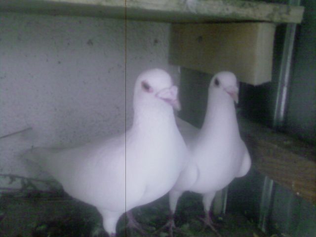 Photo0171