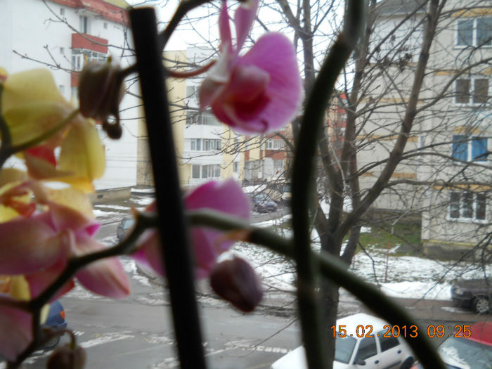 15.02.2013 046