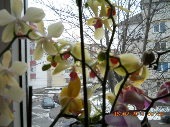 15.02.2013 047