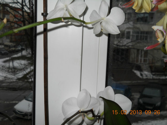 15.02.2013 051